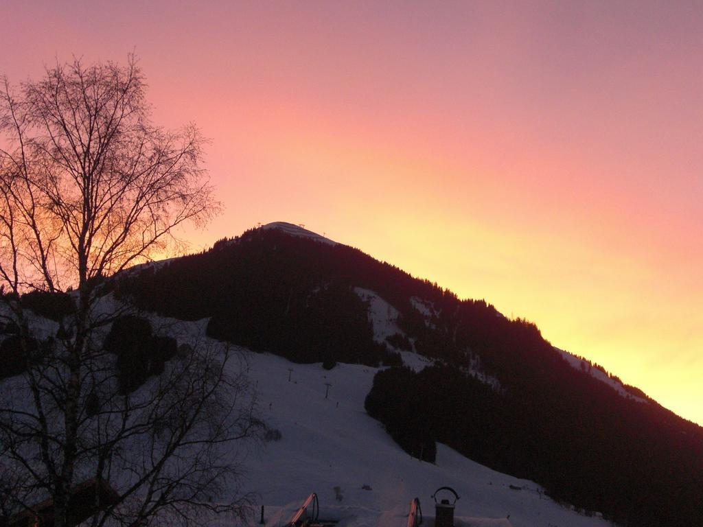 Hotel-Pension Flora Saalbach-Hinterglemm Luaran gambar