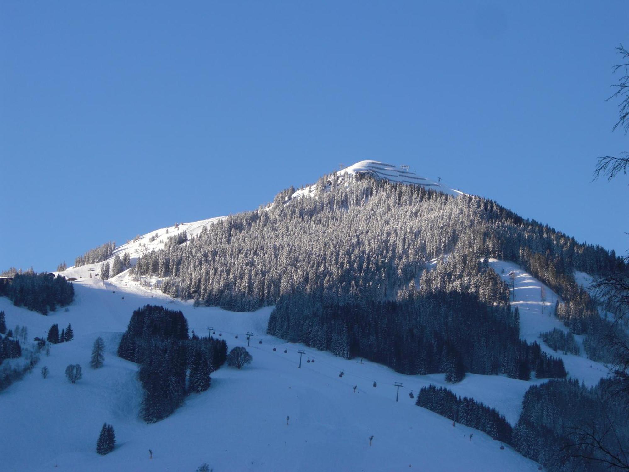 Hotel-Pension Flora Saalbach-Hinterglemm Luaran gambar